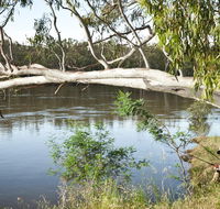 Murray Valley National Park - Kawana Tourism