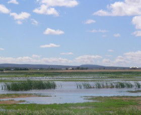 Fivebough Wetlands - Kawana Tourism 0