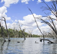 Murrumbidgee Valley National Park - Kawana Tourism