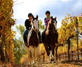 Billabong Ranch - Kawana Tourism 0