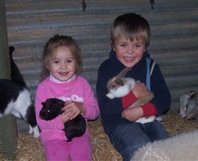 Billabong Ranch - Kawana Tourism 3