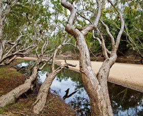 Oyala Thumotang National Park (CYPAL) - Kawana Tourism 0