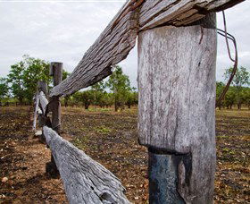 Oyala Thumotang National Park (CYPAL) - Kawana Tourism 1