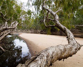 Oyala Thumotang National Park (CYPAL) - Kawana Tourism 3