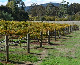 Mountainside Wines - Kawana Tourism 1