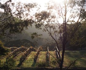 Mountainside Wines - Kawana Tourism 3