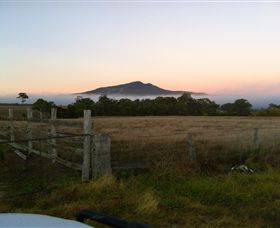 Mountainside Wines - Kawana Tourism 2