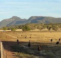 Emu Logic - Kawana Tourism