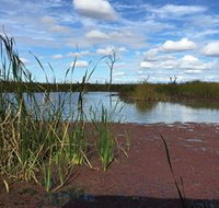 Gwydir Wetlands - Kawana Tourism