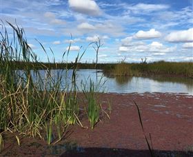 Gwydir Wetlands - Kawana Tourism 0