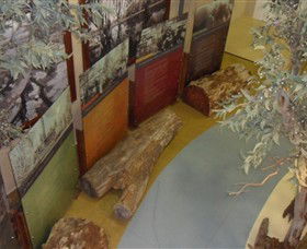Barmah Forest Heritage And Education Centre - Kawana Tourism 4