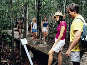Hibiscus Coast - Kawana Tourism 3