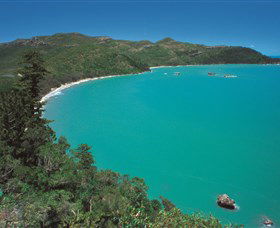 Hibiscus Coast - Kawana Tourism 2