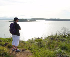 Hibiscus Coast - Kawana Tourism 1
