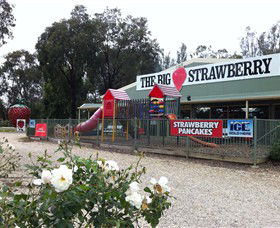 Lalalty VIC Kawana Tourism