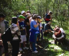 Warrumbungle National Park Discovery Program - Kawana Tourism 0