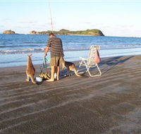 Cape Hillsborough National Park - Kawana Tourism