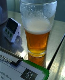 Goanna Brewing - Kawana Tourism 1