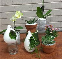 Cobram Florist - Kawana Tourism