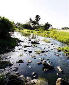 Gooseponds, North Mackay - Kawana Tourism 3