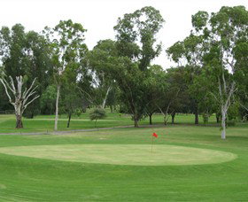 Moree Golf Club - Kawana Tourism 0