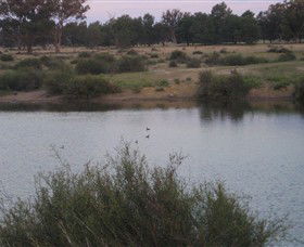 Savernake Day Tours - Kawana Tourism 7