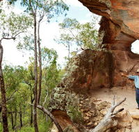 Pilliga National Park - Kawana Tourism