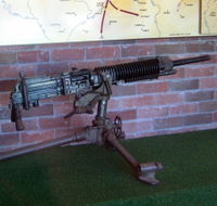 Woodpecker Gun - Kawana Tourism