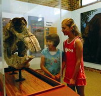 Australian Museum Diprotodon Exhibition - Kawana Tourism