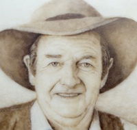 Doris Golder Wool Art Gallery - Kawana Tourism