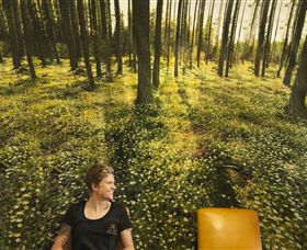 Port Fairy Massage - Kawana Tourism 0