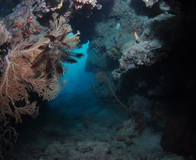 Luncheon Bay Dive Site - Kawana Tourism 2