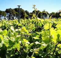 Basalt Wines - Kawana Tourism