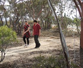 Tamma Parkland - Kawana Tourism 0