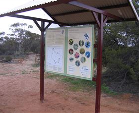 Tamma Parkland - Kawana Tourism 2
