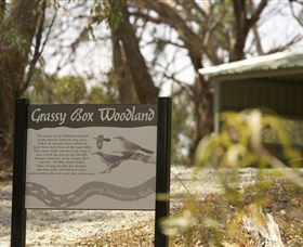 Kindra Forest - Kawana Tourism 0