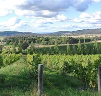 Sassy Wines - Kawana Tourism