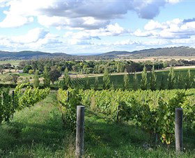 Sassy Wines - Kawana Tourism 0