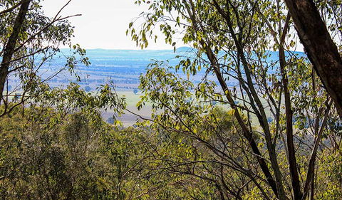 Eualdrie Walking Track - Kawana Tourism 2