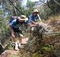 Mount Arthur Reserve - Kawana Tourism