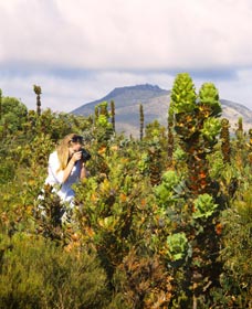 Fitzgerald River National Park - Kawana Tourism 2