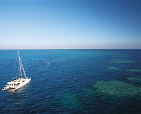 Bait Reef And Garys Lagoon Dive Site - Kawana Tourism 0