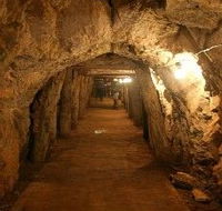 Wellington Caves and Phosphate Mine - Kawana Tourism