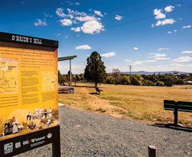 O'Brien's Hill - Kawana Tourism 0