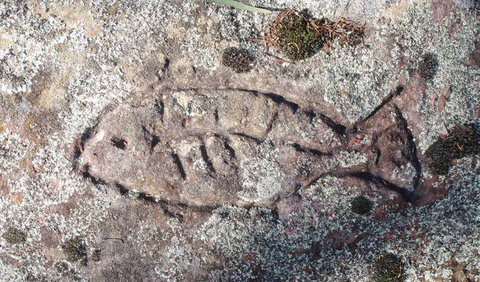 Terry Hie Hie Aboriginal Area - Kawana Tourism 3