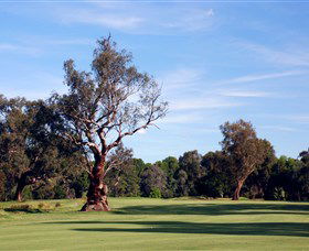 Corowa Golf Club - Kawana Tourism 5