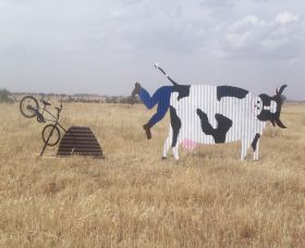 Animals On Bikes - Kawana Tourism 1