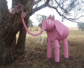 Animals On Bikes - Kawana Tourism 2