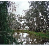 Henty Government Dam Nature Reserve - Kawana Tourism