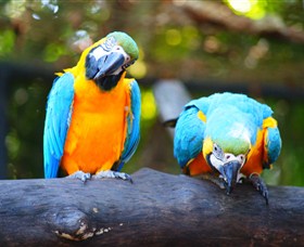 The Rockhampton Zoo - Kawana Tourism 2